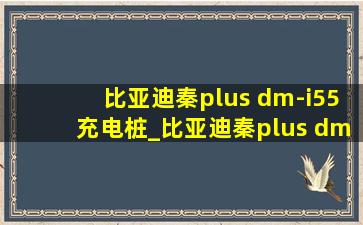 比亚迪秦plus dm-i55充电桩_比亚迪秦plus dm-i55充电桩多少钱